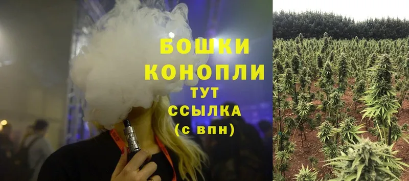 Бошки марихуана SATIVA & INDICA  Гаврилов Посад 